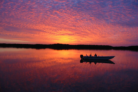 Everglades Mangrove Tunnel Kayak Eco Tour