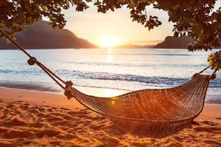 Congratulations Exceptional