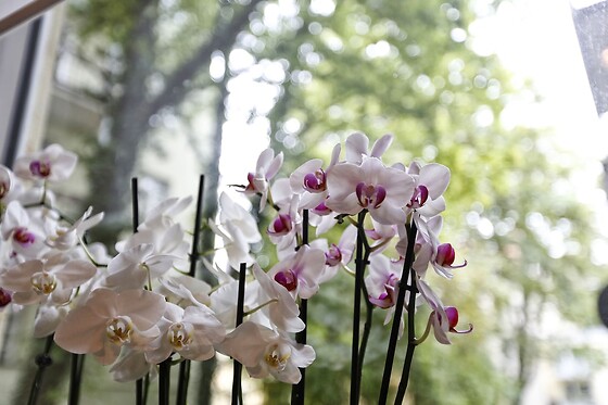 Online Booking EPS - photo 4