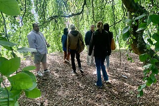 Best of Queens for 4 people at "Your New York Story"