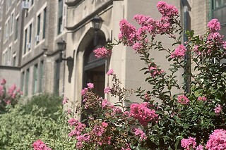 Best of Queens for 4 people at "Your New York Story"