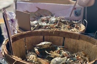 Chinese Food tour in Flushing Queens for 2 people at "Your New York Story"