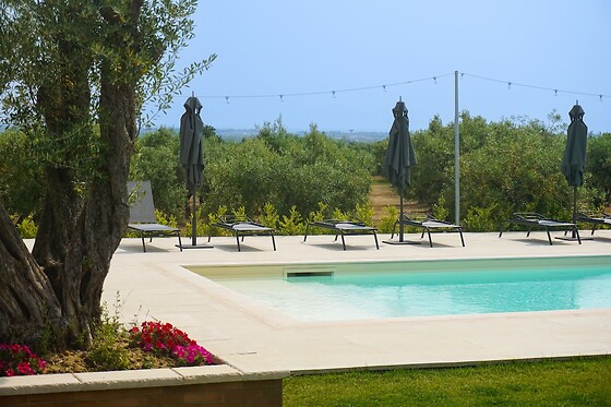 Online Booking EPS - photo 0