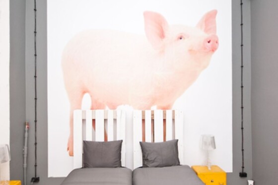 Online Booking EPS - photo 2