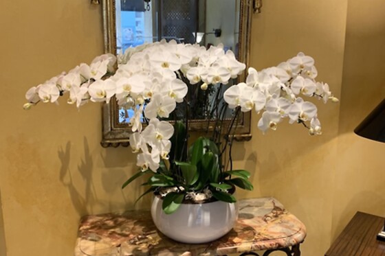 Online Booking EPS - photo 3