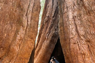 Semi Private Yosemite Valley HikingTour