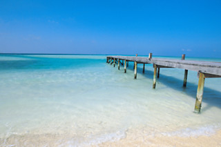 Congratulations Exceptional