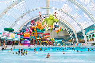 DreamWorks Water Park for 4